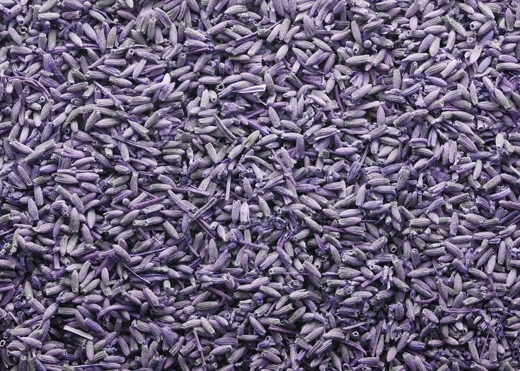 Dried lavender buds
