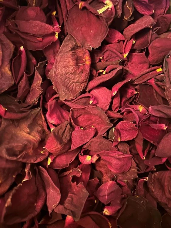 Dried red rose petals