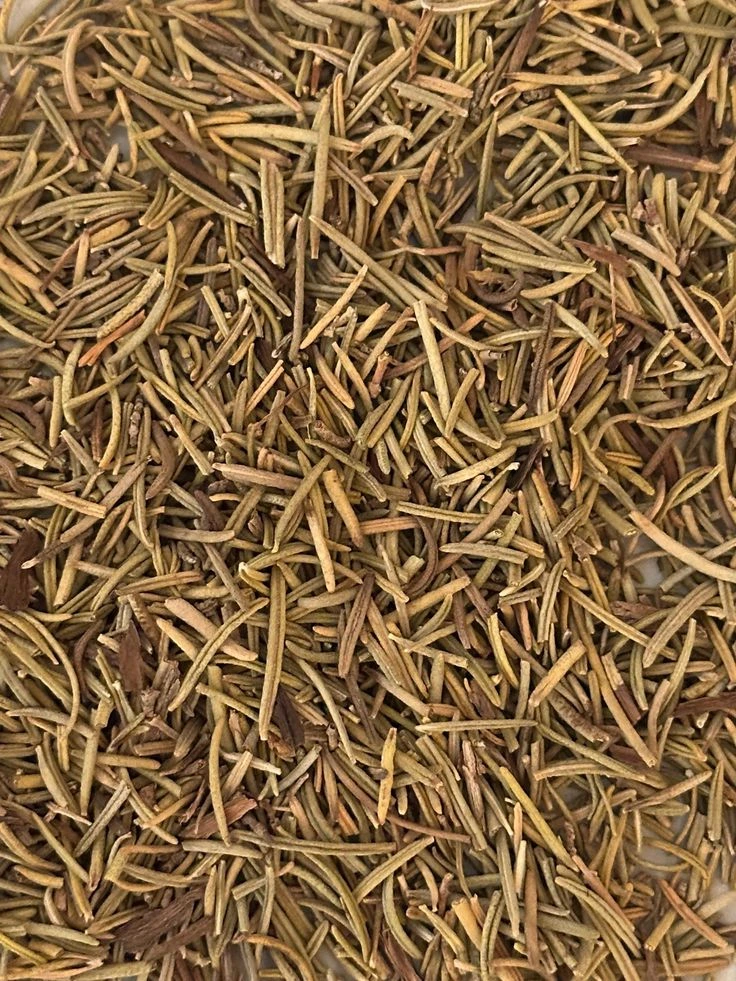 Dried rosemary herb